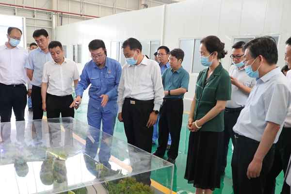 131655082283460678.jpeg 20220610213104_79228.jpeg