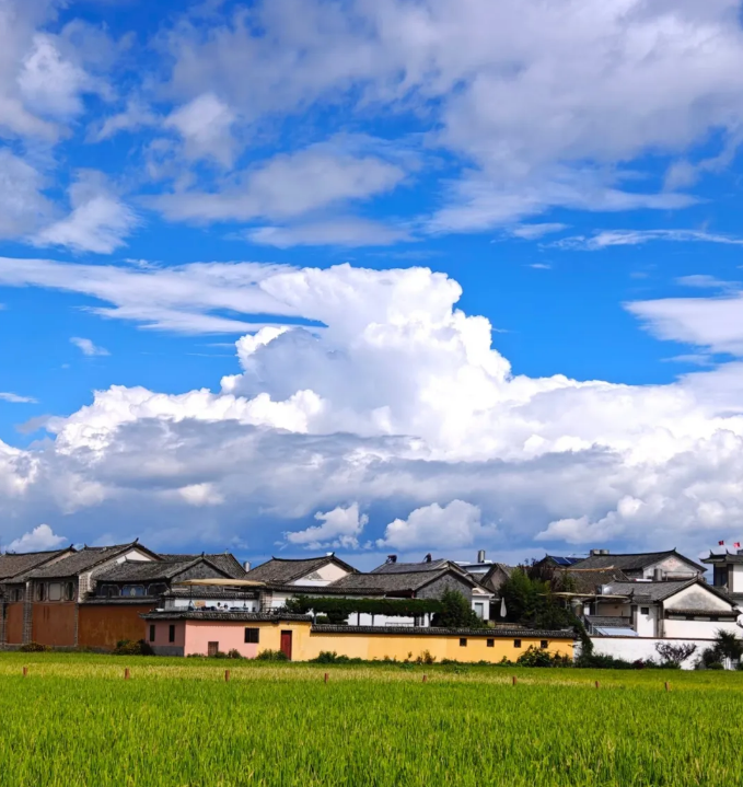 101760063138142125.png image.png